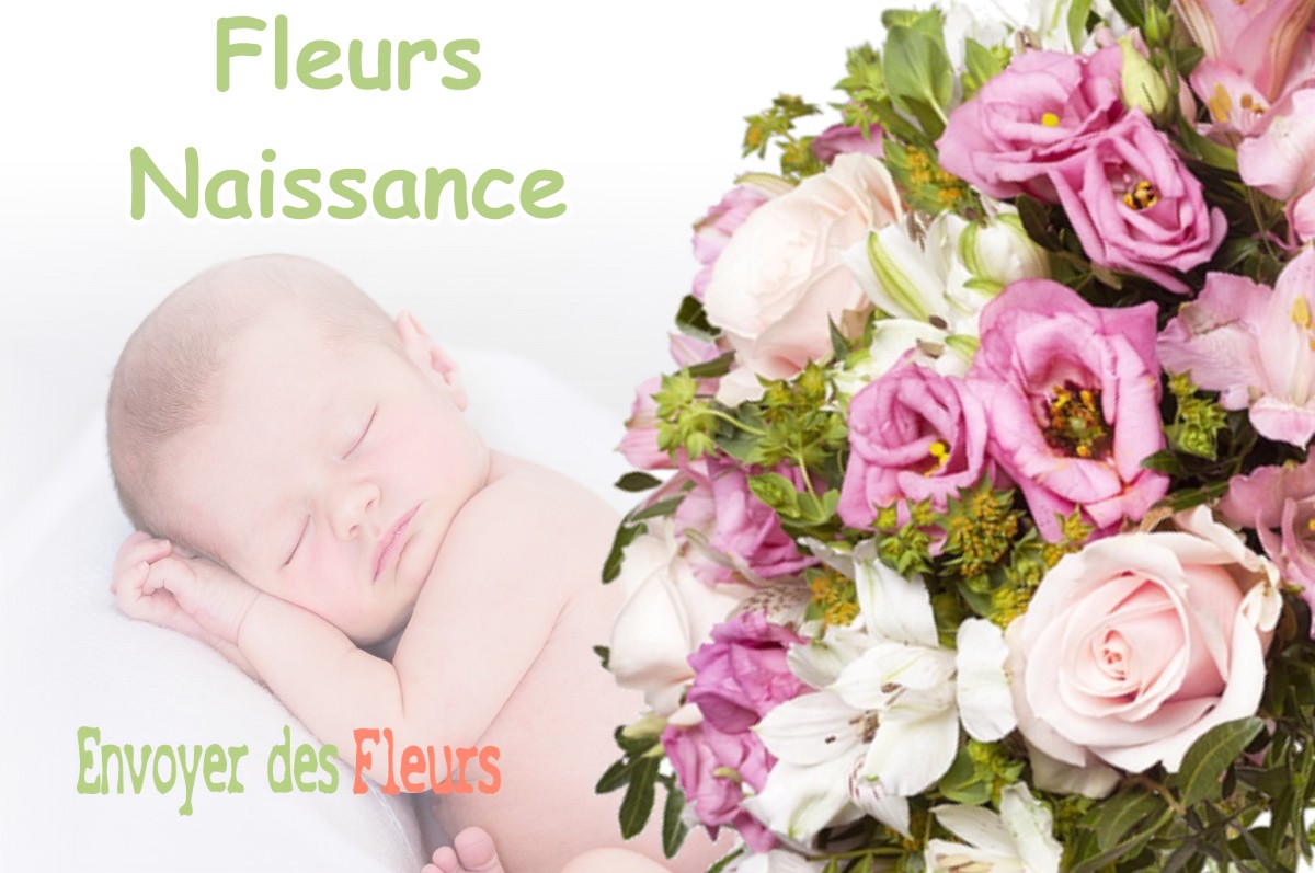 lIVRAISON FLEURS NAISSANCE à LA-CHATELAINE